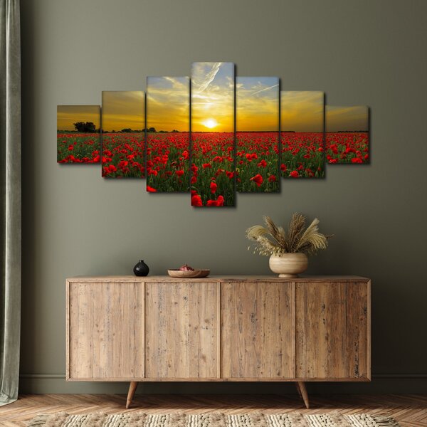 Obraz pole vlčích máků (210x100 cm)