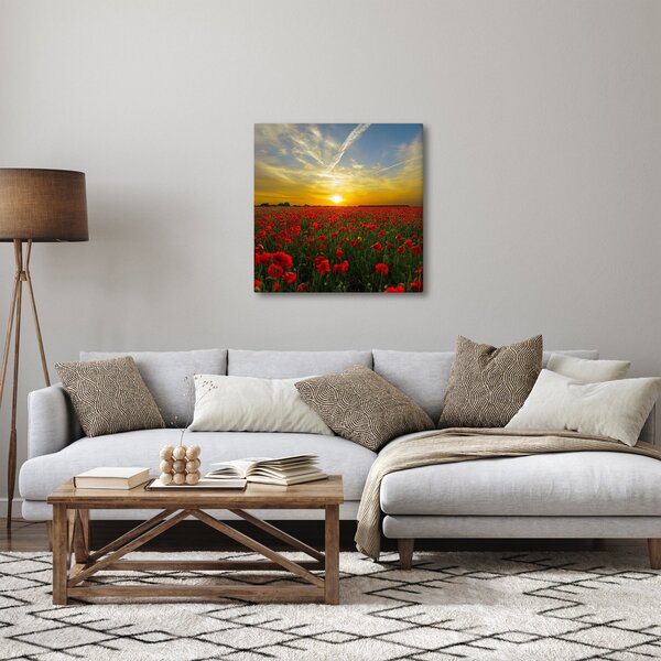 Obraz pole vlčích máků (30x30 cm)