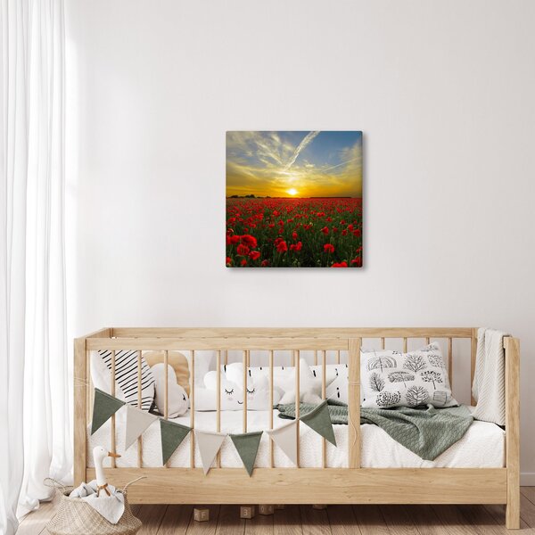 Obraz pole vlčích máků (30x30 cm)