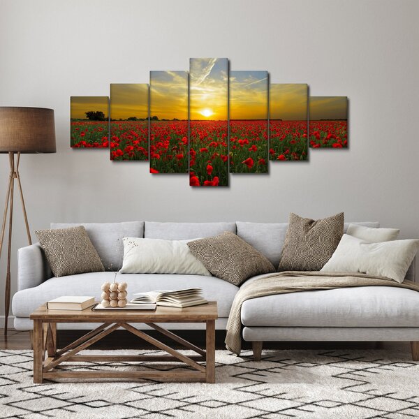 Obraz pole vlčích máků (210x100 cm)