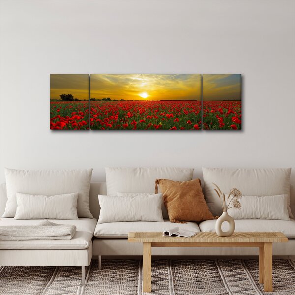 Obraz pole vlčích máků (170x50 cm)