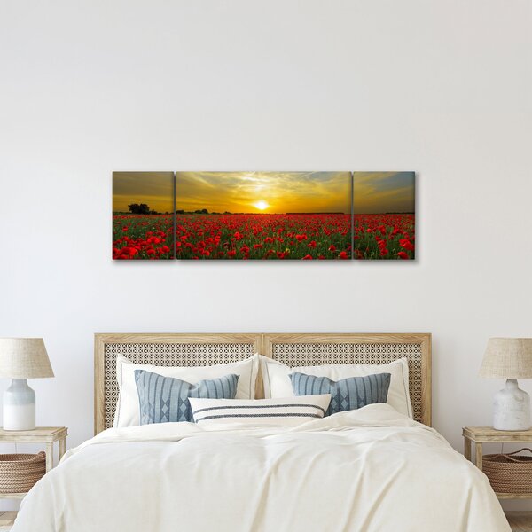 Obraz pole vlčích máků (170x50 cm)
