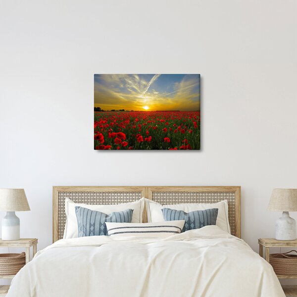 Obraz pole vlčích máků (70x50 cm)