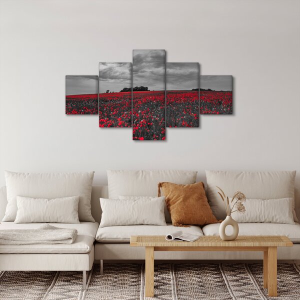 Obraz vlčích máků (125x70 cm)