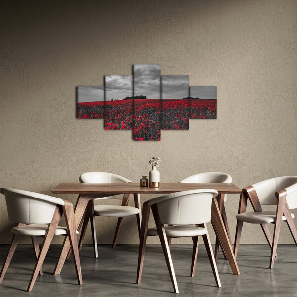 Obraz vlčích máků (125x70 cm)