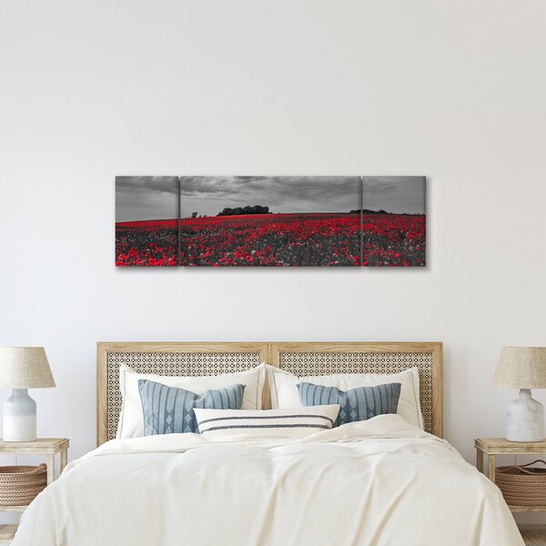 Obraz vlčích máků (170x50 cm)