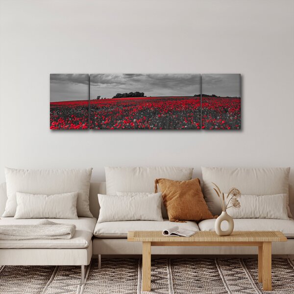 Obraz vlčích máků (170x50 cm)