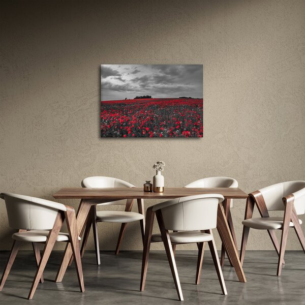 Obraz vlčích máků (70x50 cm)