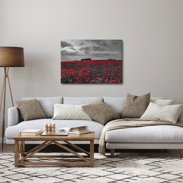 Obraz vlčích máků (70x50 cm)