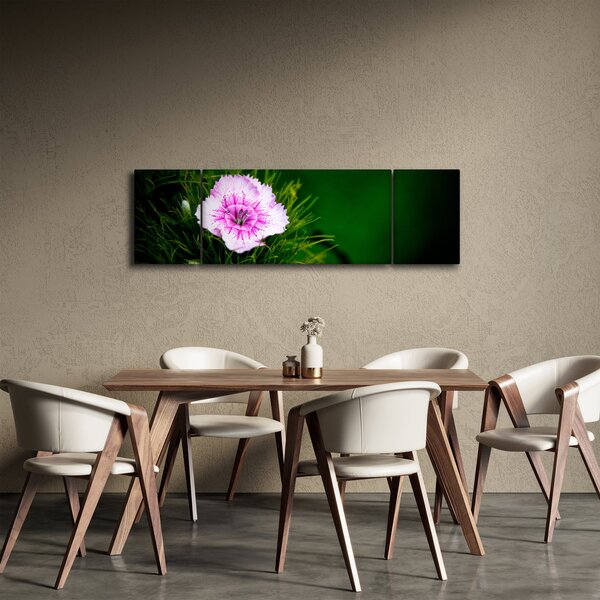 Obraz růžového květu (170x50 cm)
