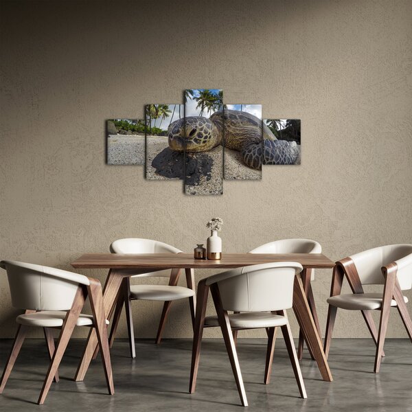 Obraz želvy (125x70 cm)