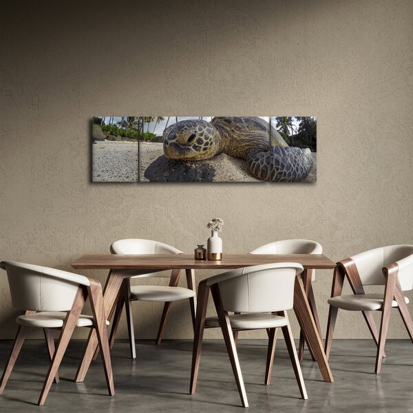 Obraz želvy (170x50 cm)
