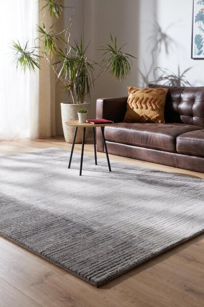 Koberec Ragolle Argentum 63849 9293