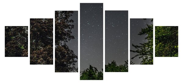 Obraz noční oblohy (210x100 cm)