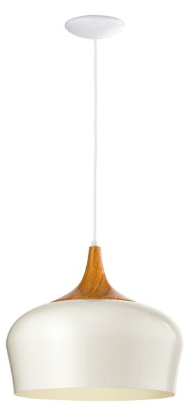 Eglo 95383 OBREGON - Moderní závěsné svítidlo (Závěsný elegantní lustr 1 x E27 na lanku)