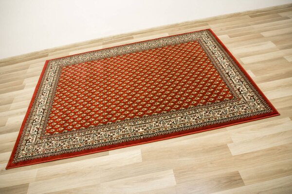 Koberec Afgan 3642B ornamentový červený / krémový