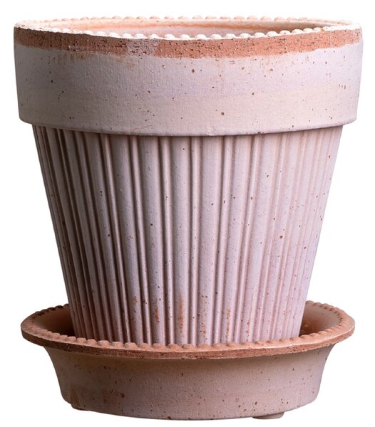 Bergs Potter Terakotový květináč Simona Rosa - 16 cm BP134