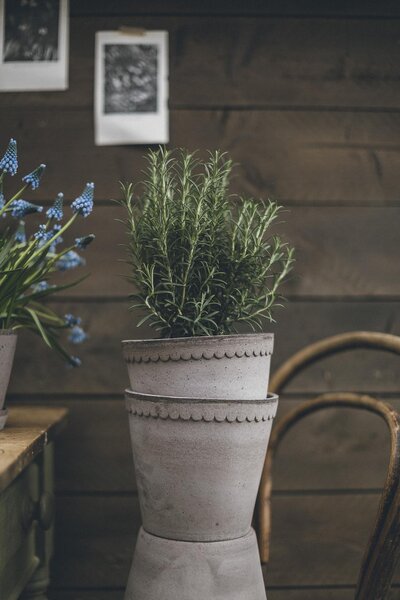 Bergs Potter Terakotový květináč Helena Grey - 18 cm BP157