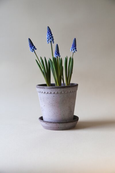 Bergs Potter Terakotový květináč Helena Grey - 18 cm BP157