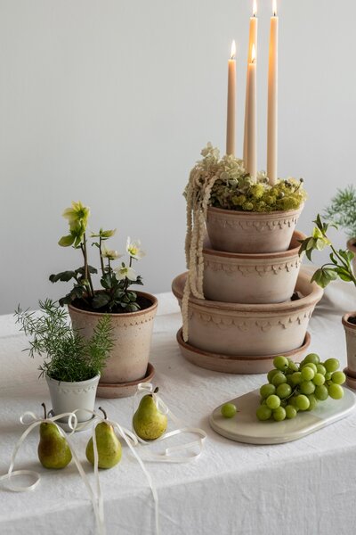 Bergs Potter Terakotový květináč Helena Rosa - 14 cm BP162
