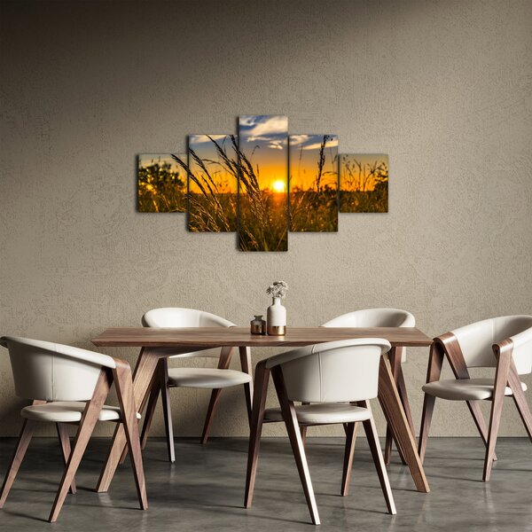Obraz pole při západu slunce (125x70 cm)