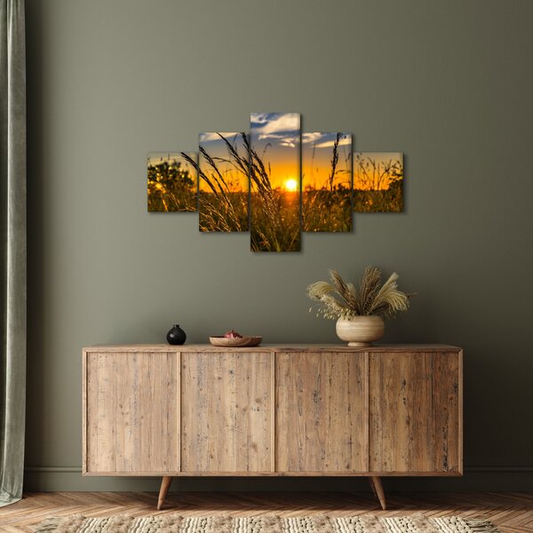 Obraz pole při západu slunce (125x70 cm)
