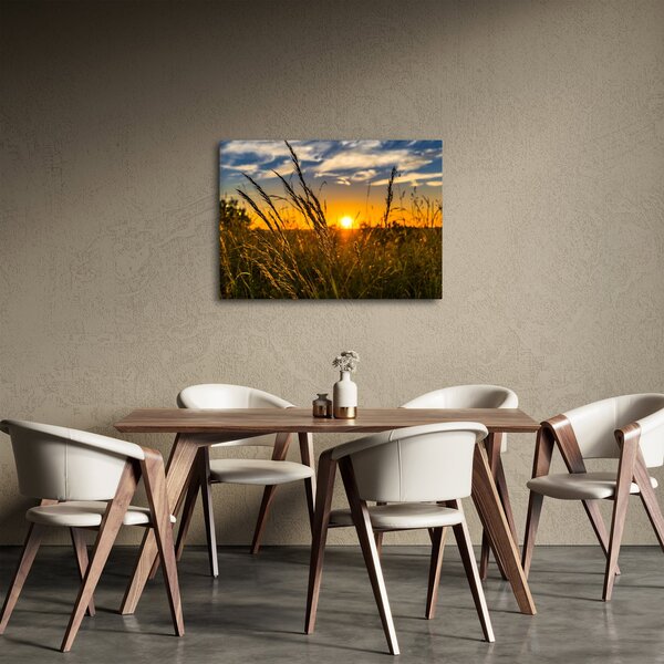Obraz pole při západu slunce (70x50 cm)