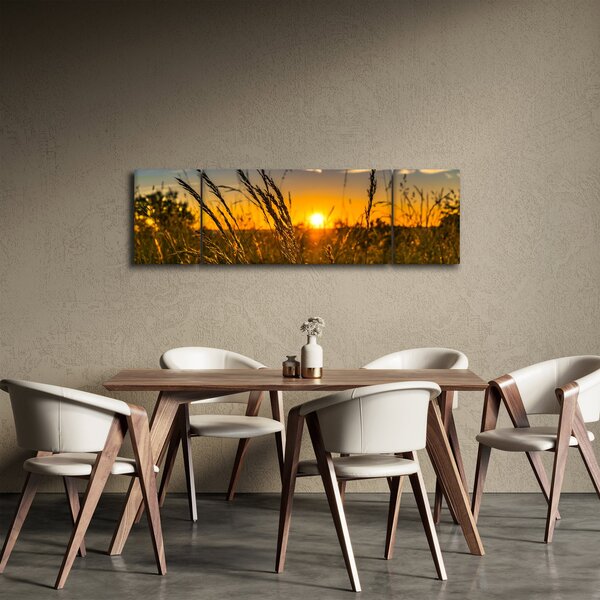 Obraz pole při západu slunce (170x50 cm)