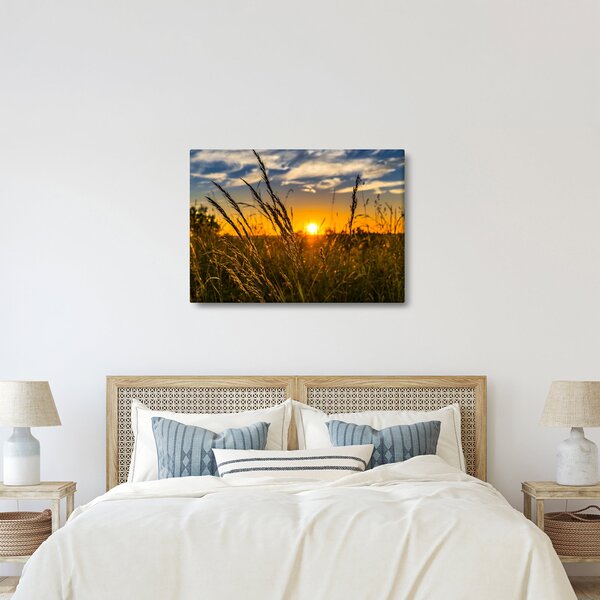 Obraz pole při západu slunce (70x50 cm)