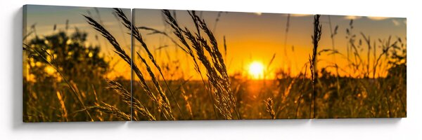 Obraz pole při západu slunce (170x50 cm)