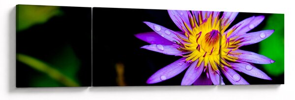 Obraz květiny (170x50 cm)