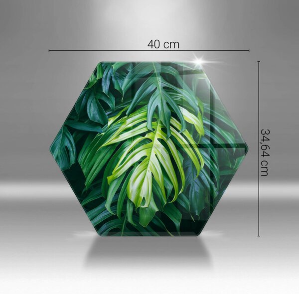 Skleněná deska do kuchyně Divoké monstera listy