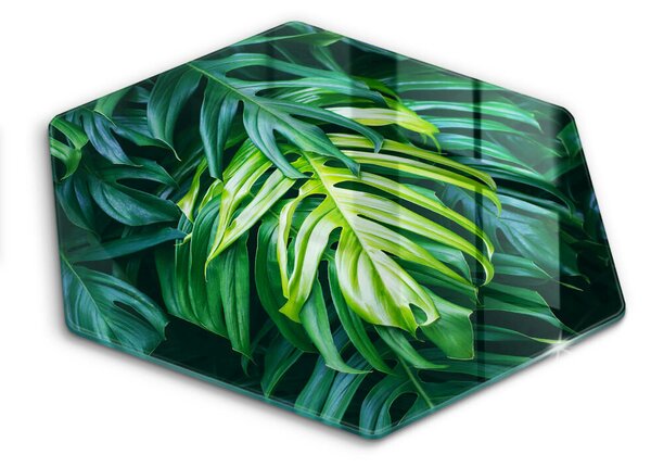 Skleněná deska do kuchyně Divoké monstera listy
