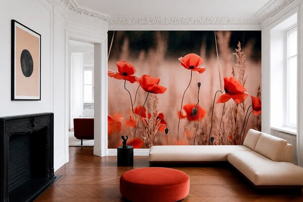 Fototapety Zářivě červené máky mezi suchou trávou, Fototapety květiny, w05866 : uwalls.cz
