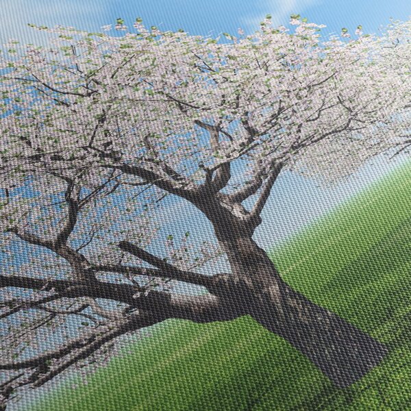 Obraz stromů (210x100 cm)