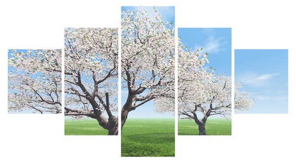 Obraz stromů (125x70 cm)