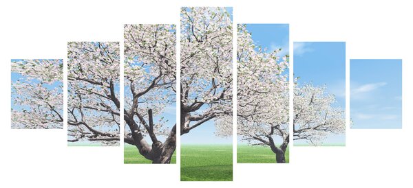 Obraz stromů (210x100 cm)