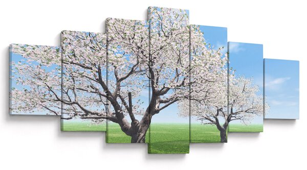 Obraz stromů (210x100 cm)