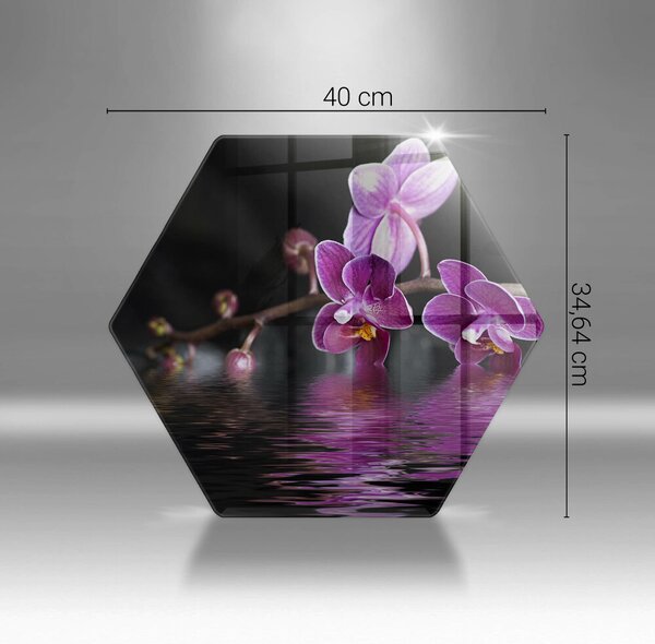Skleněná deska do kuchyně Orchidejová zenová voda