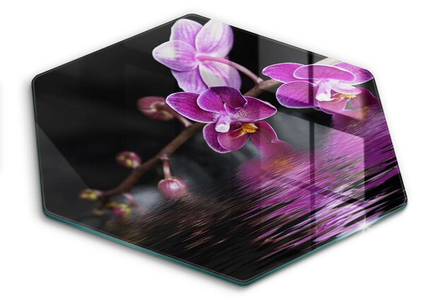 Skleněná deska do kuchyně Orchidejová zenová voda