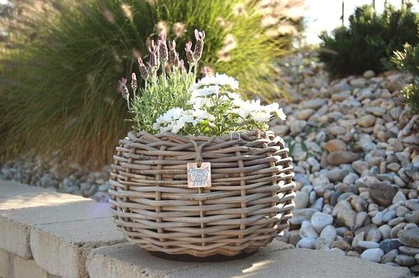 RATANOVÝ Květináč DRYPOT TINA small, Ø29x19cm (Van der Leeden®)