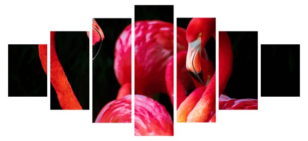 Obraz červených plameňáků (210x100 cm)