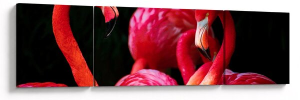 Obraz červených plameňáků (170x50 cm)