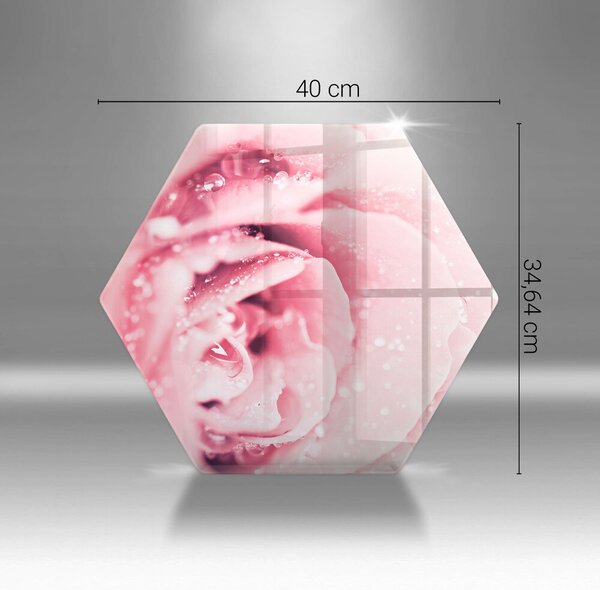 Skleněná krájecí deska Kapky rosy a květ růže