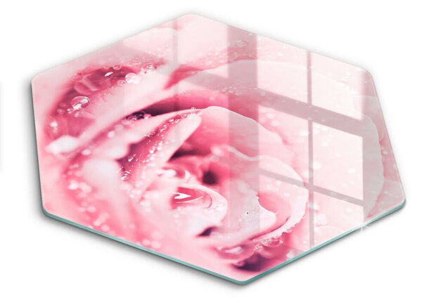 Skleněná krájecí deska Kapky rosy a květ růže