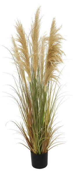 DEKORAČNÍ TRÁVA, 150 cm Ambia Home - Dekorační tráva, Online Only