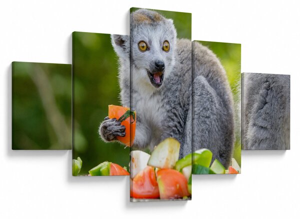Obraz lemura (125x70 cm)