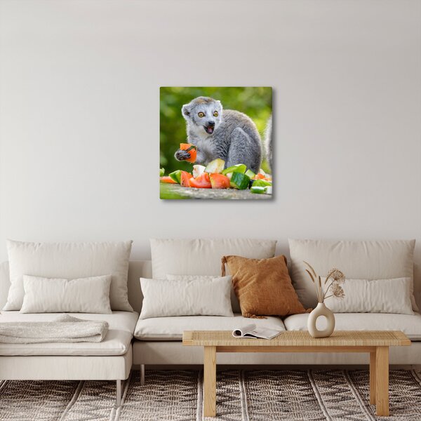 Obraz lemura (30x30 cm)