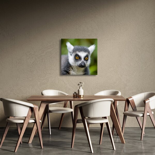 Obraz lemura (30x30 cm)