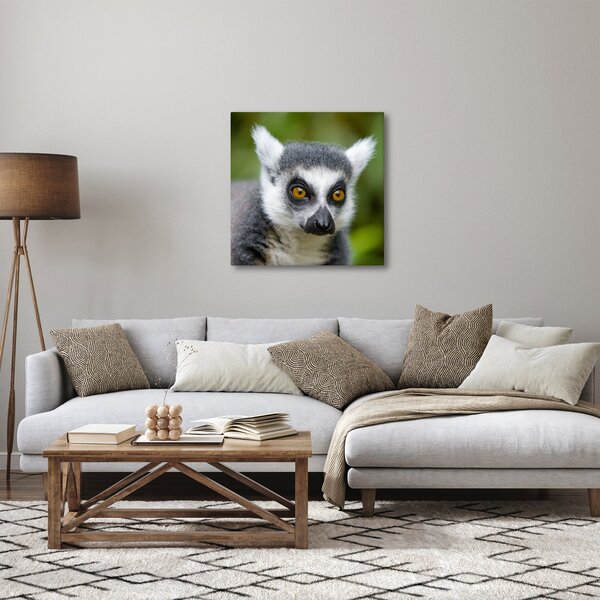 Obraz lemura (30x30 cm)